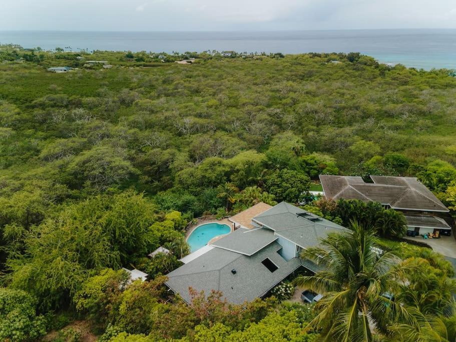 The Pohaku Studio At The Koi House Kailua-Kona Exterior photo